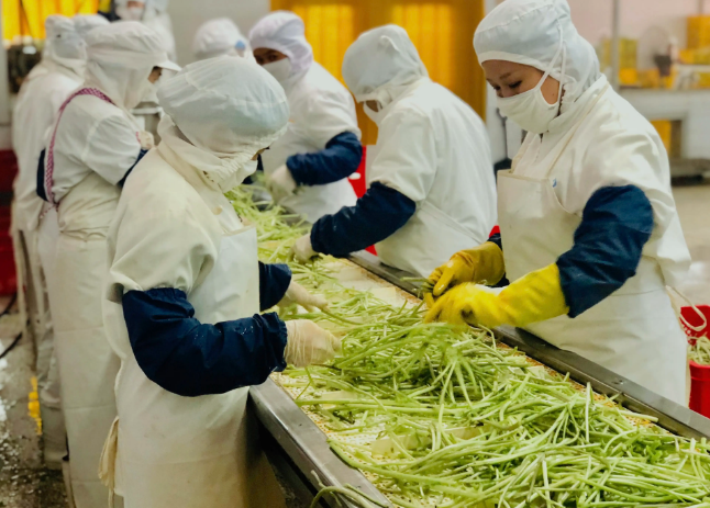 三種食品污水處理設(shè)備工藝流程，看看哪種適合您？